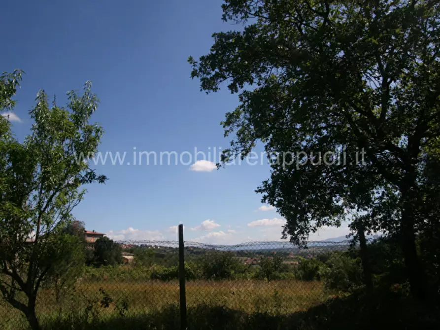 Immagine 3 di Rustico / casale in vendita  a Sinalunga