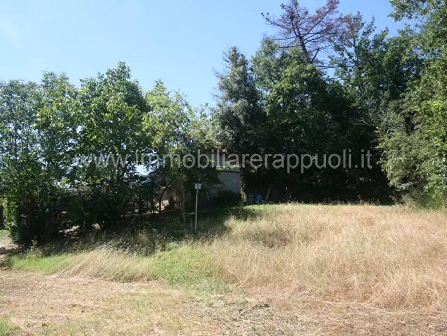 Immagine 4 di Rustico / casale in vendita  a Sinalunga