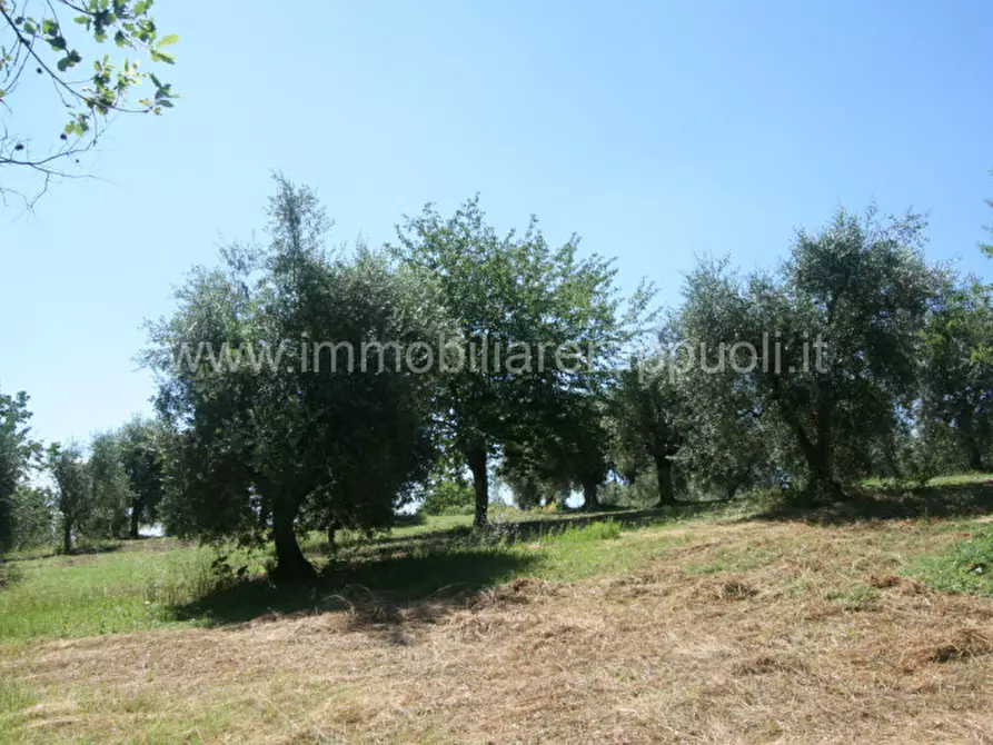 Immagine 6 di Rustico / casale in vendita  a Sinalunga