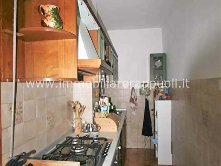 Immagine 4 di Appartamento in vendita  a Trequanda