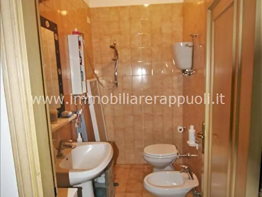 Immagine 7 di Appartamento in vendita  a Trequanda