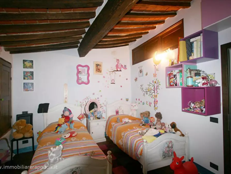 Immagine 4 di Casa indipendente in vendita  a Sinalunga