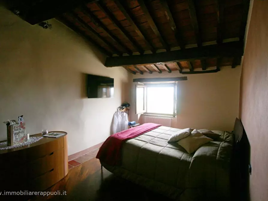 Immagine 9 di Casa indipendente in vendita  a Sinalunga