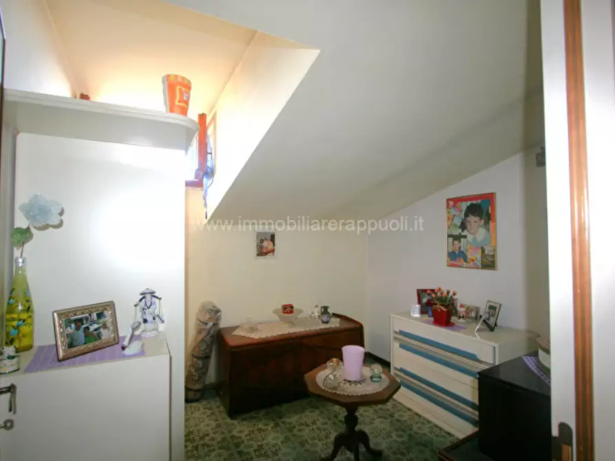 Immagine 5 di Appartamento in vendita  a Sinalunga