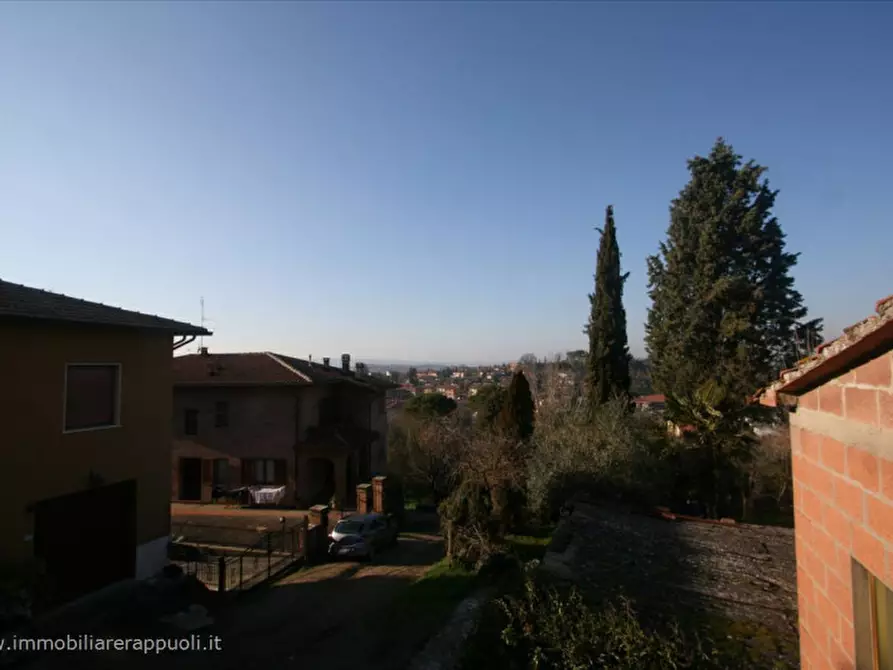 Immagine 3 di Casa indipendente in vendita  a Sinalunga