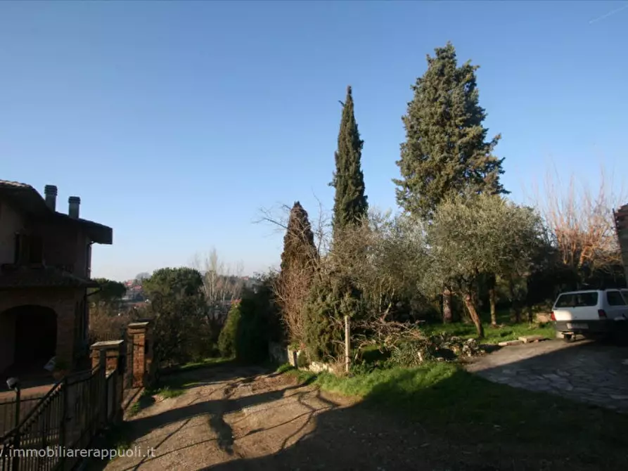 Immagine 16 di Casa indipendente in vendita  a Sinalunga