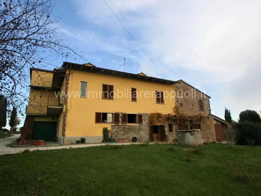 Immagine 1 di Rustico / casale in vendita  a Lucignano