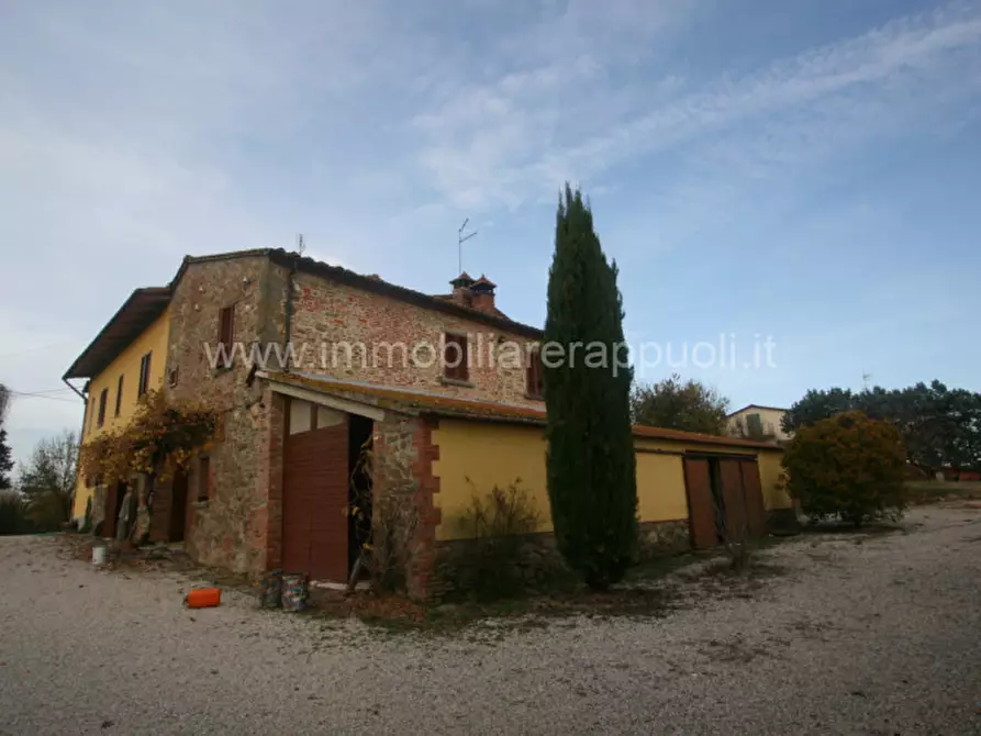 Immagine 2 di Rustico / casale in vendita  a Lucignano