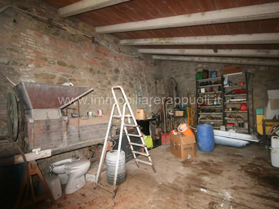 Immagine 3 di Rustico / casale in vendita  a Lucignano