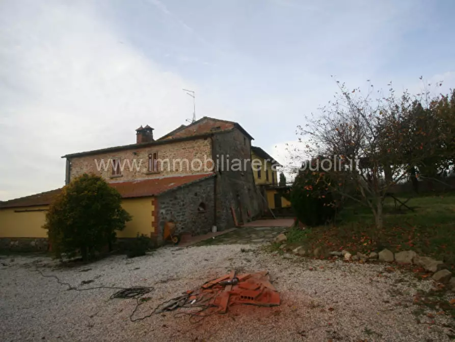 Immagine 8 di Rustico / casale in vendita  a Lucignano