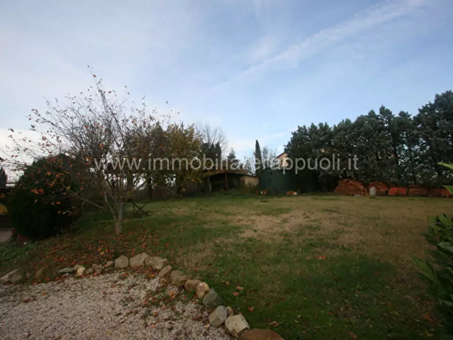 Immagine 9 di Rustico / casale in vendita  a Lucignano