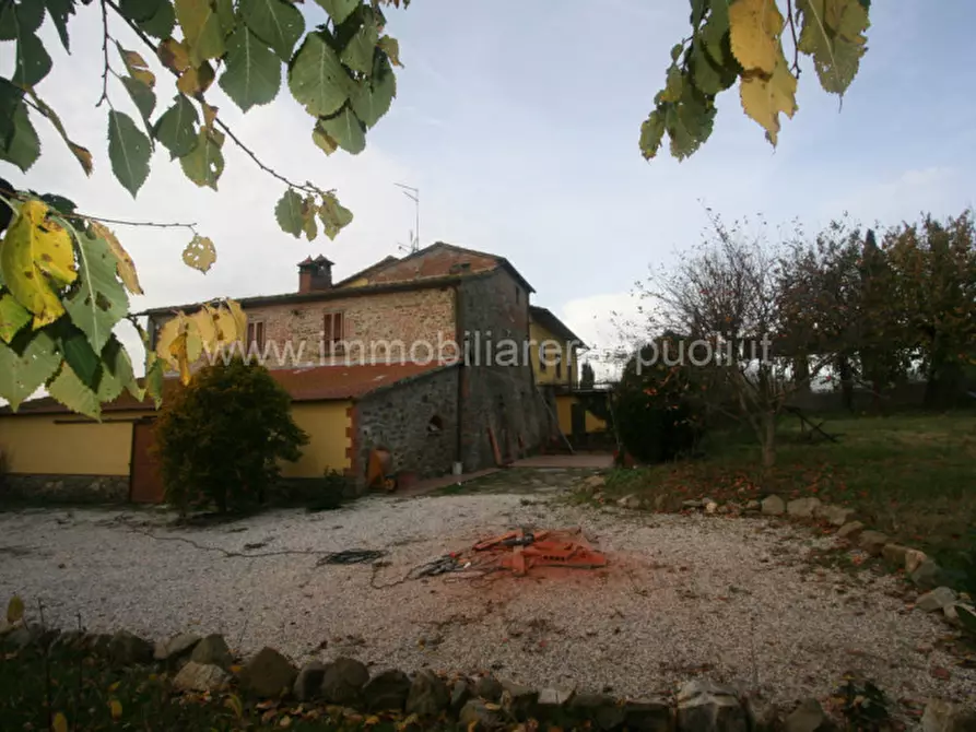 Immagine 10 di Rustico / casale in vendita  a Lucignano