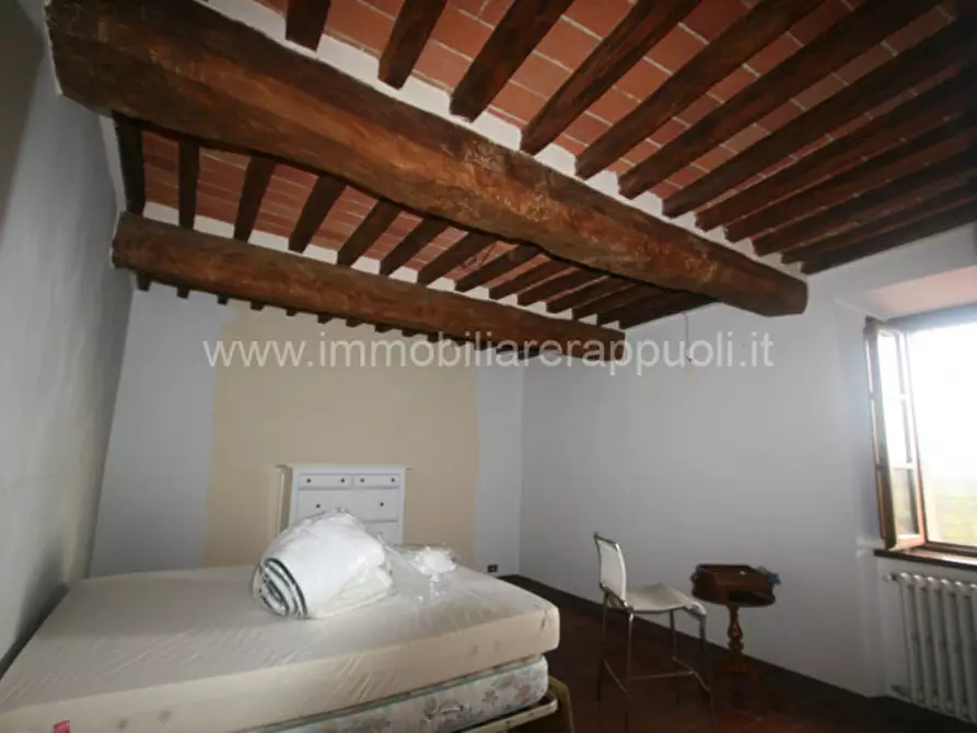 Immagine 17 di Rustico / casale in vendita  a Lucignano