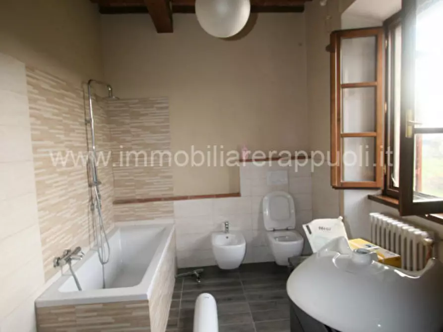Immagine 21 di Rustico / casale in vendita  a Lucignano