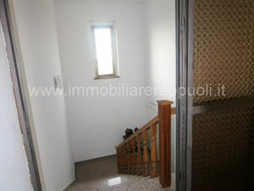 Immagine 30 di Rustico / casale in vendita  a Lucignano