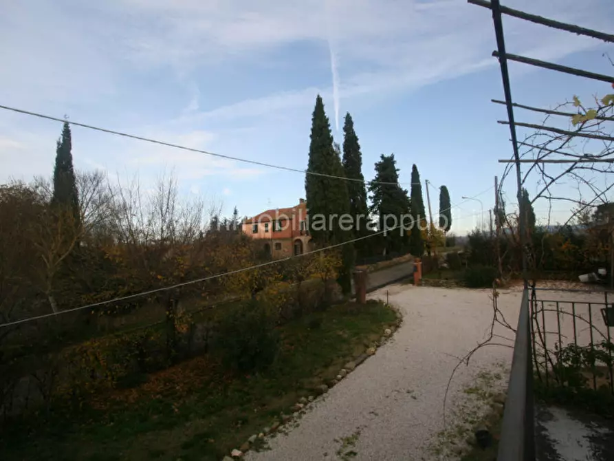 Immagine 33 di Rustico / casale in vendita  a Lucignano