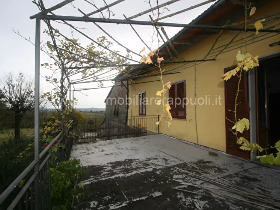 Immagine 34 di Rustico / casale in vendita  a Lucignano