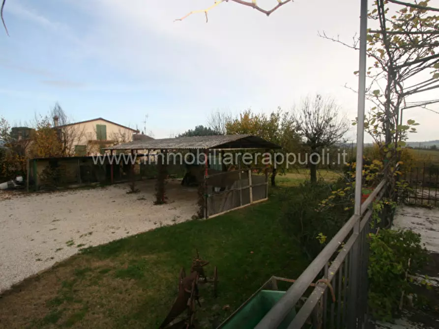 Immagine 35 di Rustico / casale in vendita  a Lucignano