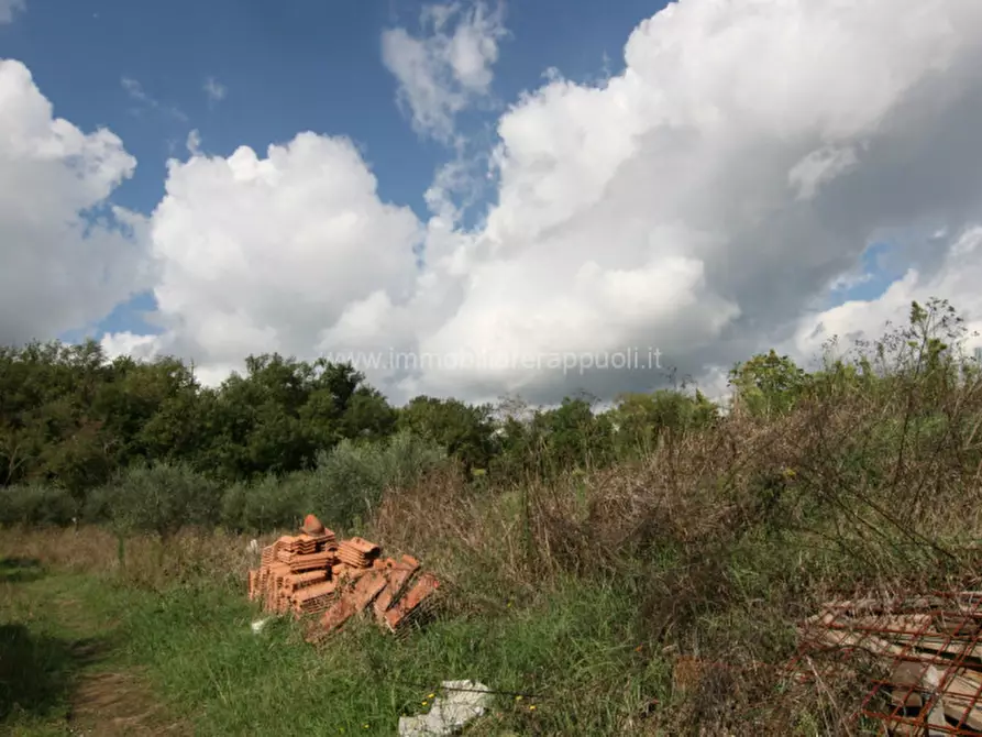 Immagine 4 di Casa indipendente in vendita  a Sinalunga