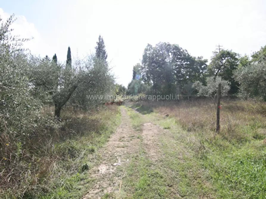 Immagine 6 di Casa indipendente in vendita  a Sinalunga