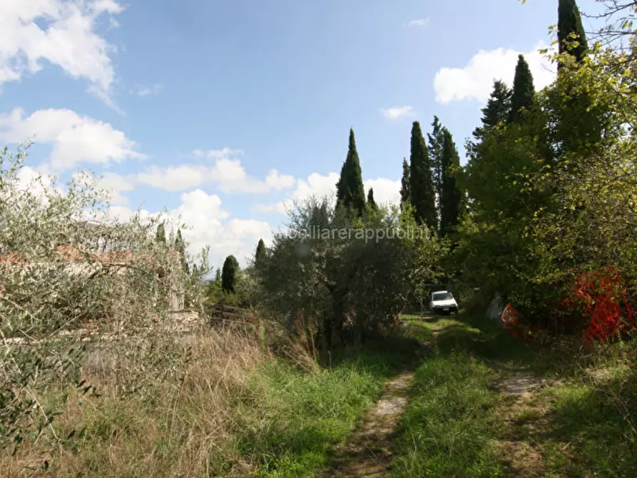 Immagine 8 di Casa indipendente in vendita  a Sinalunga