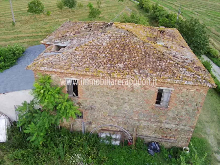 Immagine 2 di Rustico / casale in vendita  a Sinalunga