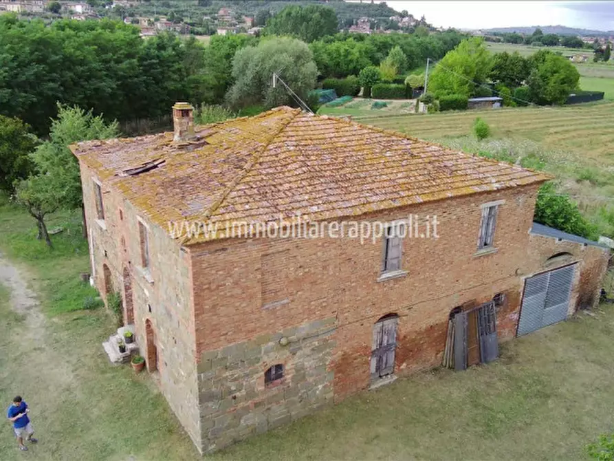 Immagine 3 di Rustico / casale in vendita  a Sinalunga