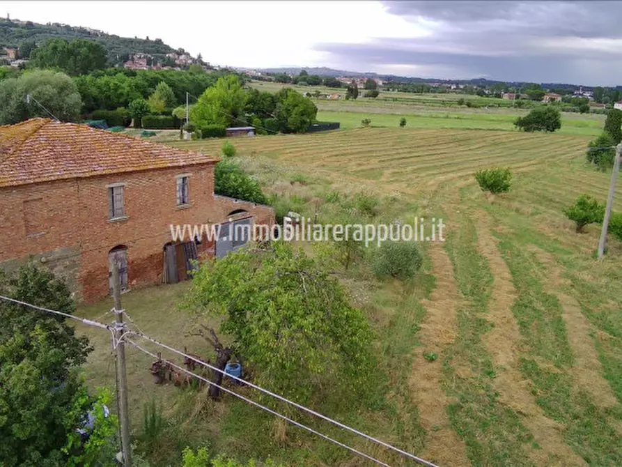 Immagine 4 di Rustico / casale in vendita  a Sinalunga