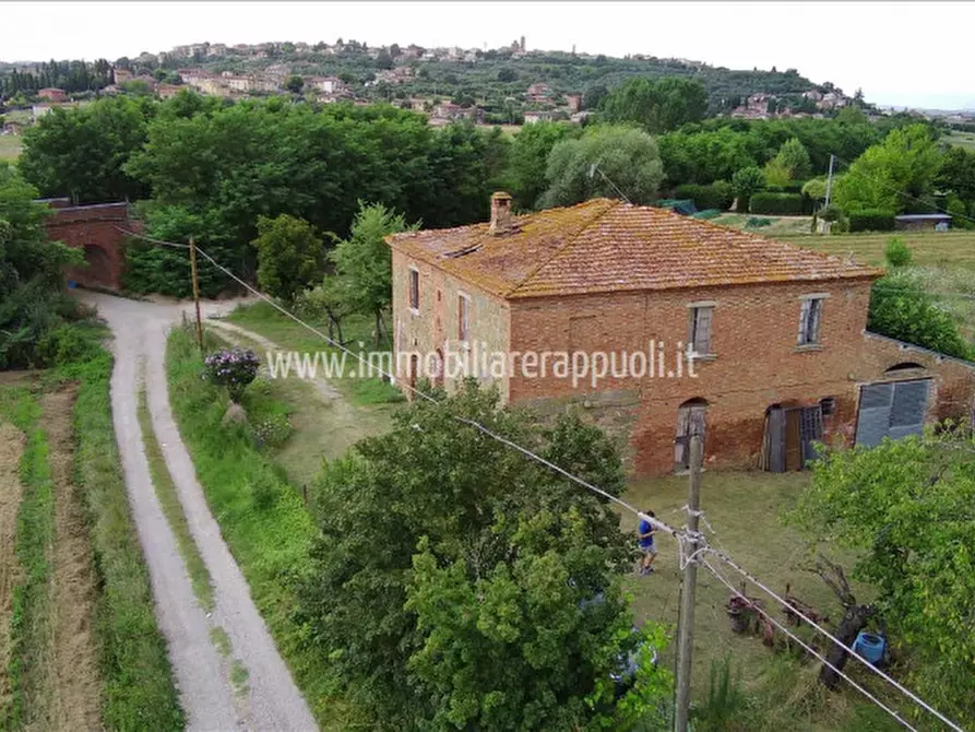 Immagine 5 di Rustico / casale in vendita  a Sinalunga