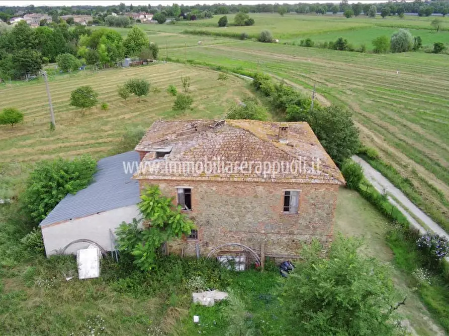 Immagine 6 di Rustico / casale in vendita  a Sinalunga