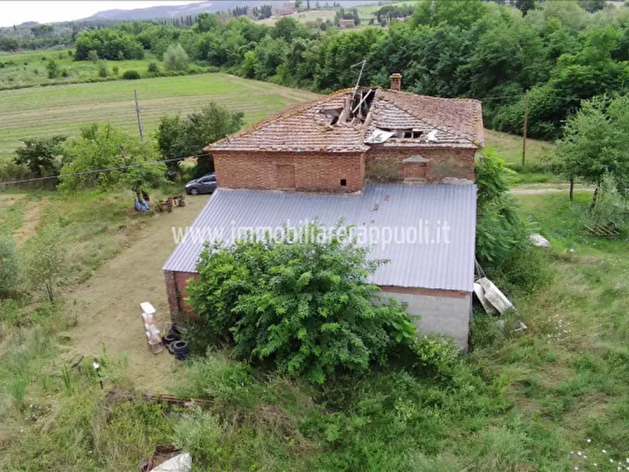 Immagine 7 di Rustico / casale in vendita  a Sinalunga