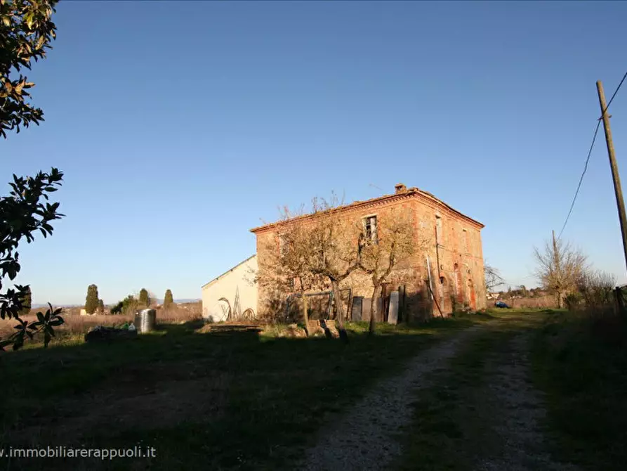 Immagine 9 di Rustico / casale in vendita  a Sinalunga