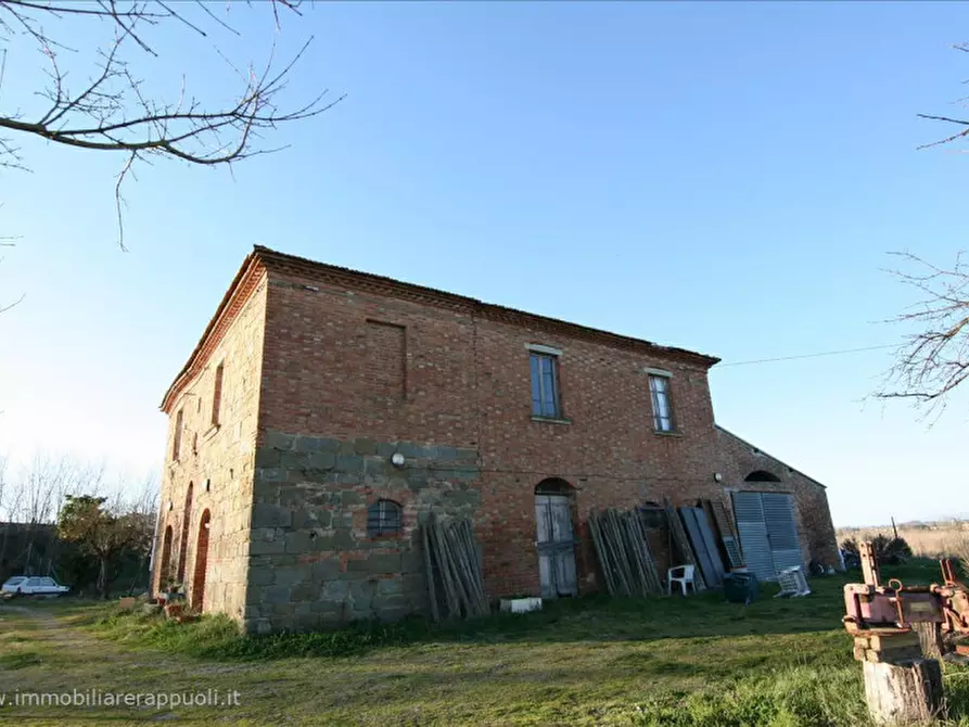 Immagine 10 di Rustico / casale in vendita  a Sinalunga