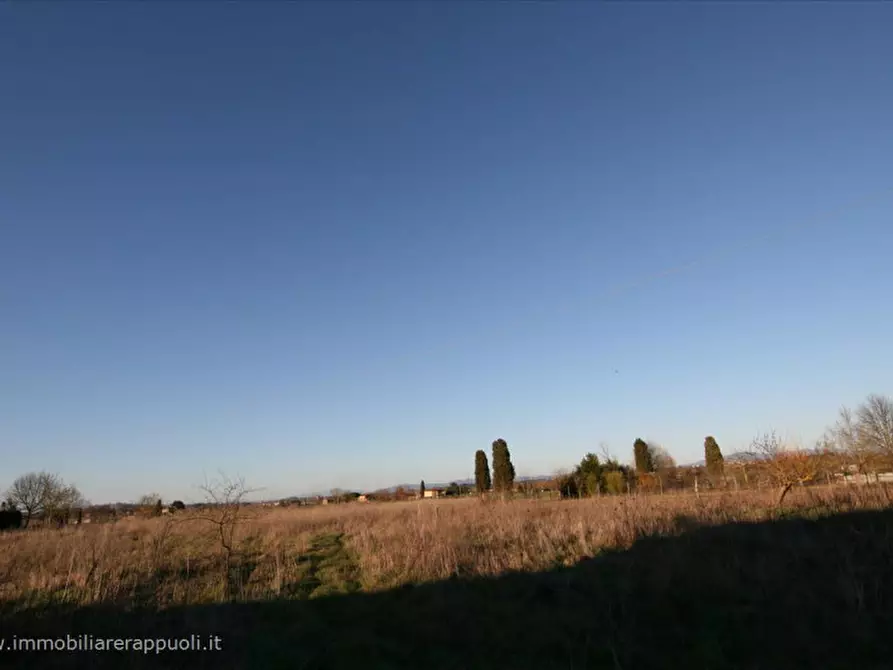 Immagine 12 di Rustico / casale in vendita  a Sinalunga