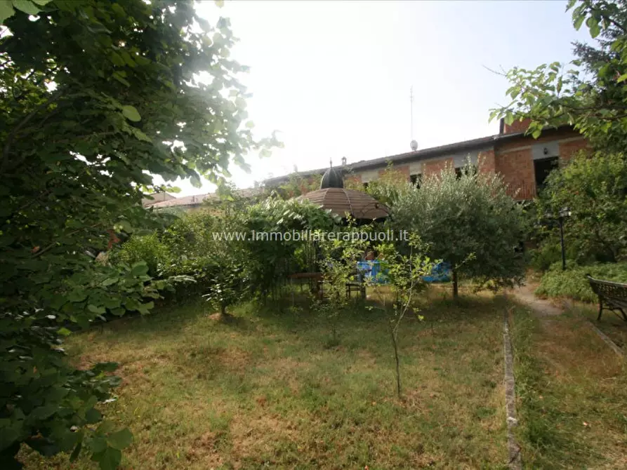 Immagine 7 di Casa indipendente in vendita  a Sinalunga