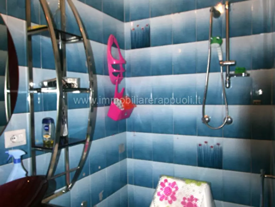 Immagine 3 di Appartamento in vendita  a Torrita Di Siena