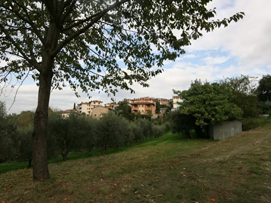 Immagine 1 di Terreno in vendita  a Torrita Di Siena