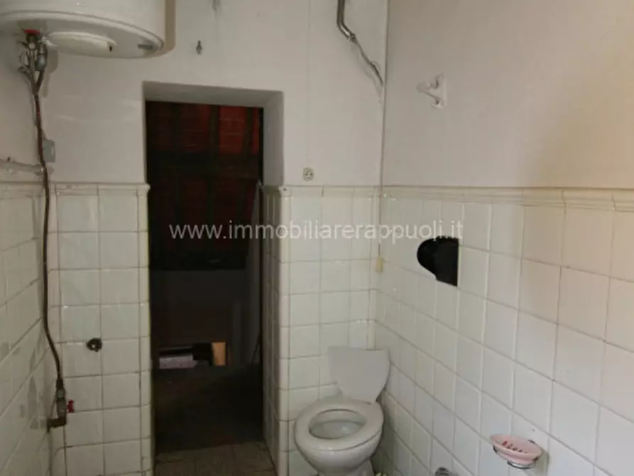 Immagine 11 di Villa in vendita  a Montalcino