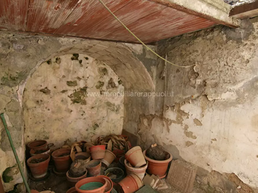 Immagine 17 di Villa in vendita  a Montalcino