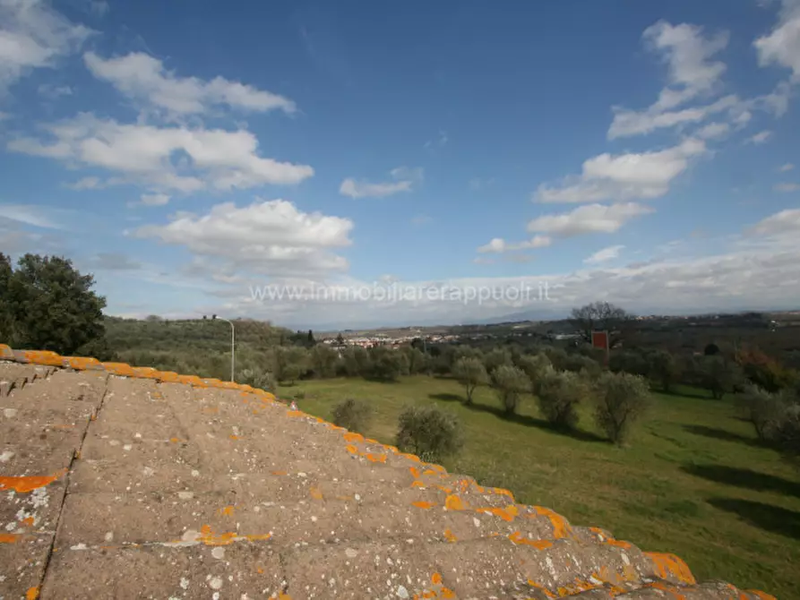 Immagine 7 di Villa in vendita  a Sinalunga