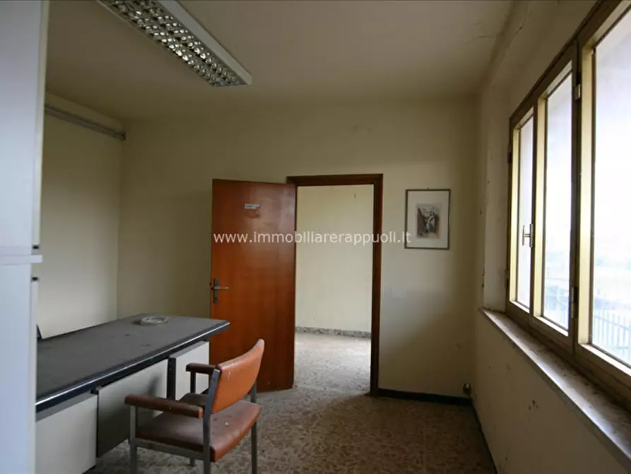 Immagine 2 di Capannone industriale in vendita  a Torrita Di Siena