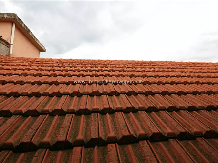 Immagine 3 di Capannone industriale in vendita  a Torrita Di Siena