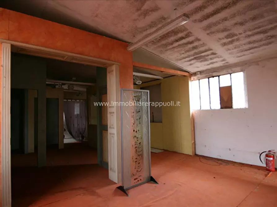 Immagine 4 di Capannone industriale in vendita  a Torrita Di Siena