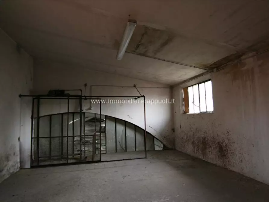 Immagine 5 di Capannone industriale in vendita  a Torrita Di Siena