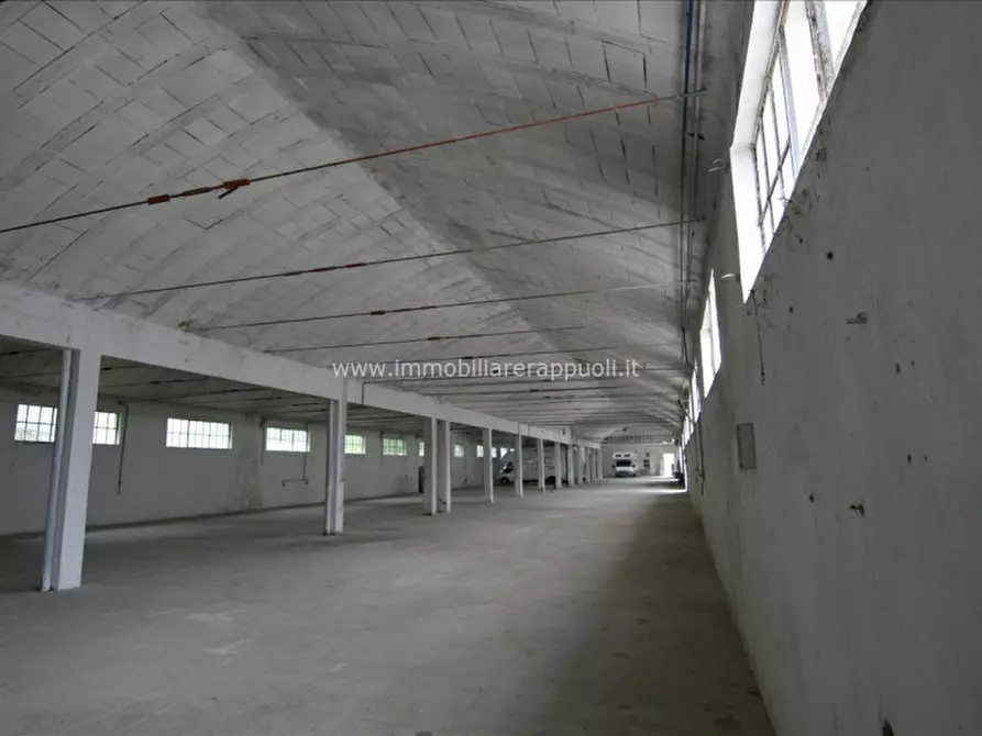 Immagine 11 di Capannone industriale in vendita  a Torrita Di Siena