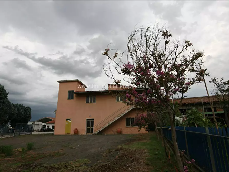 Immagine 15 di Capannone industriale in vendita  a Torrita Di Siena