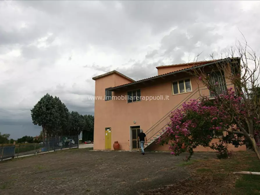 Immagine 16 di Capannone industriale in vendita  a Torrita Di Siena