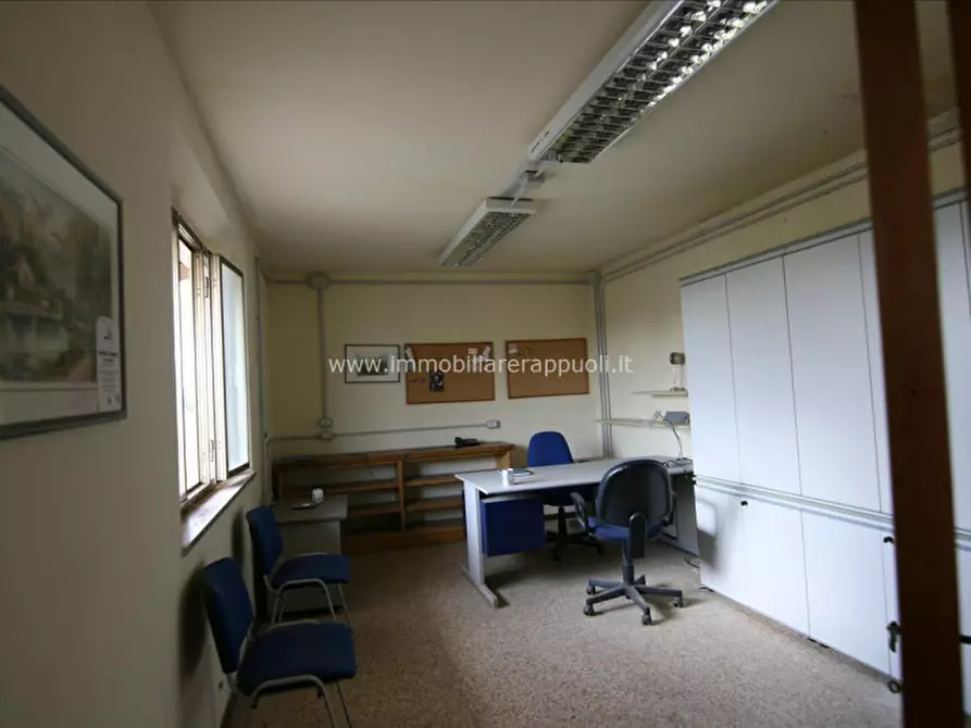 Immagine 17 di Capannone industriale in vendita  a Torrita Di Siena