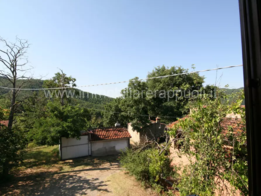 Immagine 28 di Rustico / casale in vendita  a Arezzo