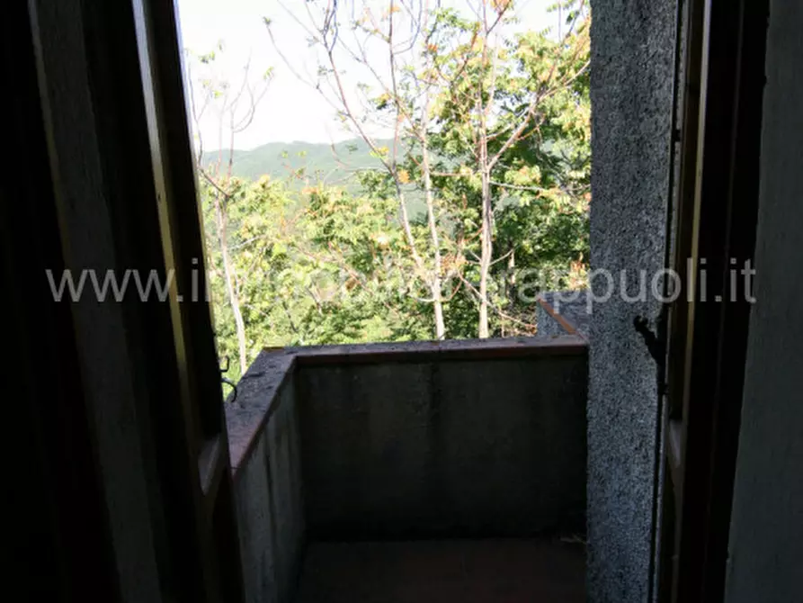 Immagine 31 di Rustico / casale in vendita  a Arezzo